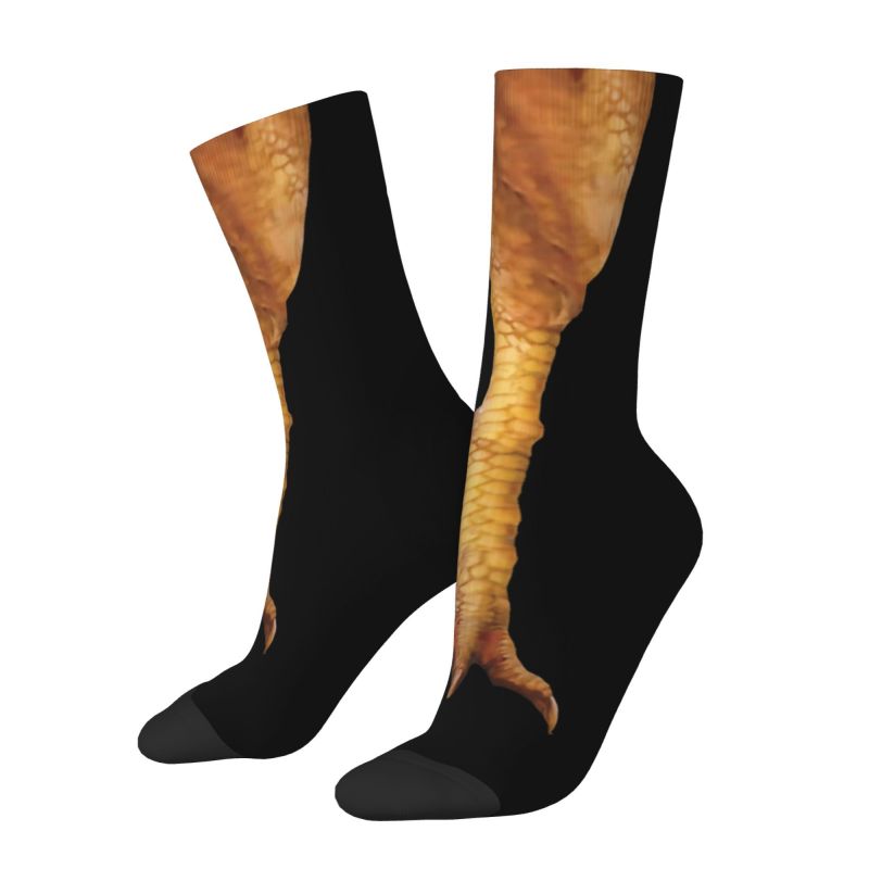Skarpetki męskie z motywem kur – Dress Sock Men recenzja i cena